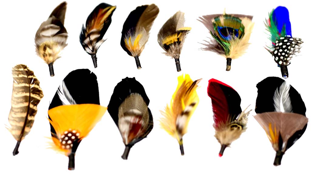 Assorted Feathers (12 Pack) Feathers Bruno Capelo Neutrals