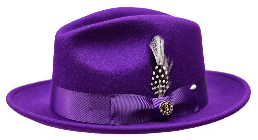 Executive Collection Hat Bruno Capelo Purple Medium 