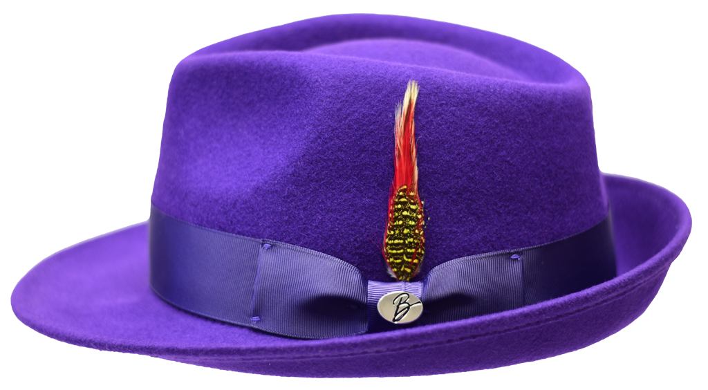 Hudson Collection Hat Bruno Capelo Purple Large 