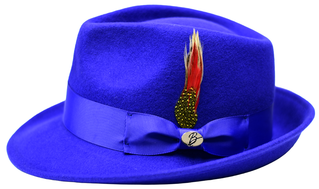 Hudson Collection Hat Bruno Capelo Royal Blue Medium