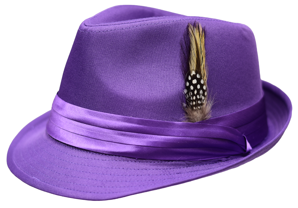 Vincent Collection Hat Bruno Capelo Purple Small/Medium 